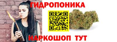 хмурый Малгобек