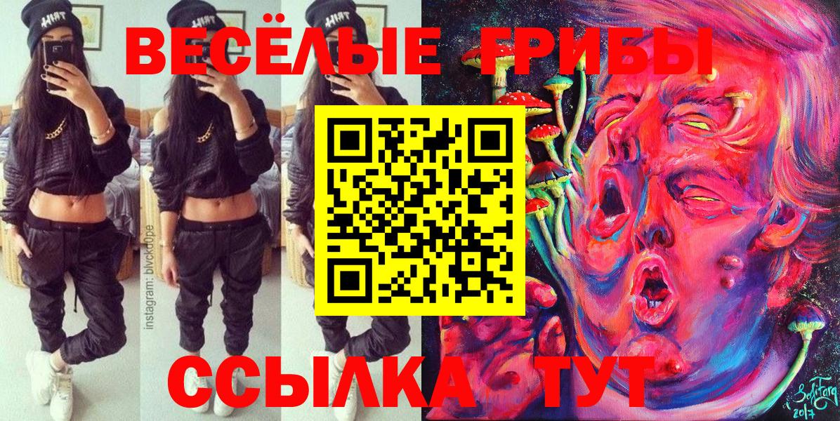 Псилоцибиновые грибы Psilocybine cubensis Калач-на-Дону
