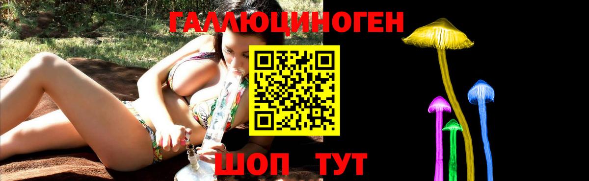 Калач-на-Дону  Псилоцибиновые грибы GOLDEN TEACHER  Вход с VPN  Псилоцибиновые грибы Magic Shrooms 